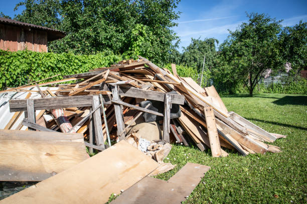 Best Retail Junk Removal  in Mount Dora, FL