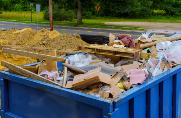 Best Carpet Removal and Disposal  in Mount Dora, FL